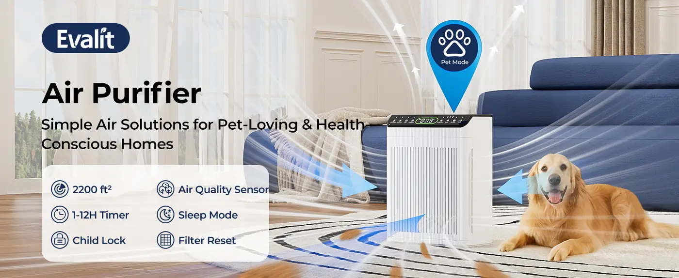 Evalit ET066 air purifier feature overview