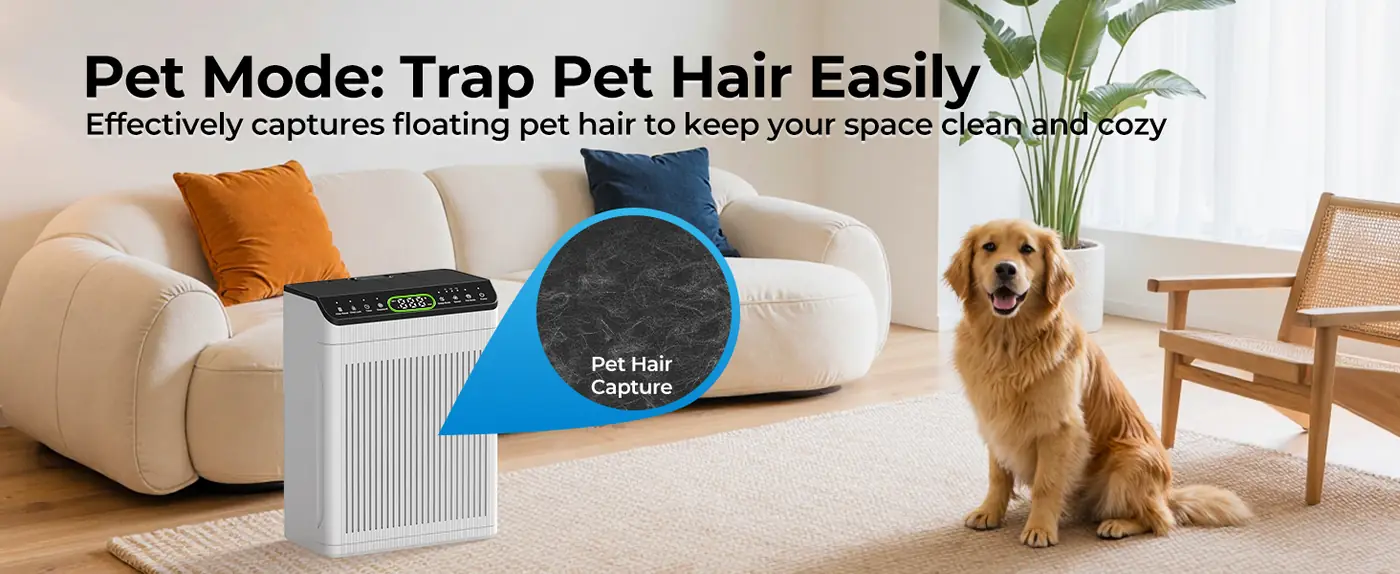 Evalit Pet Mode feature for capturing floating pet hair