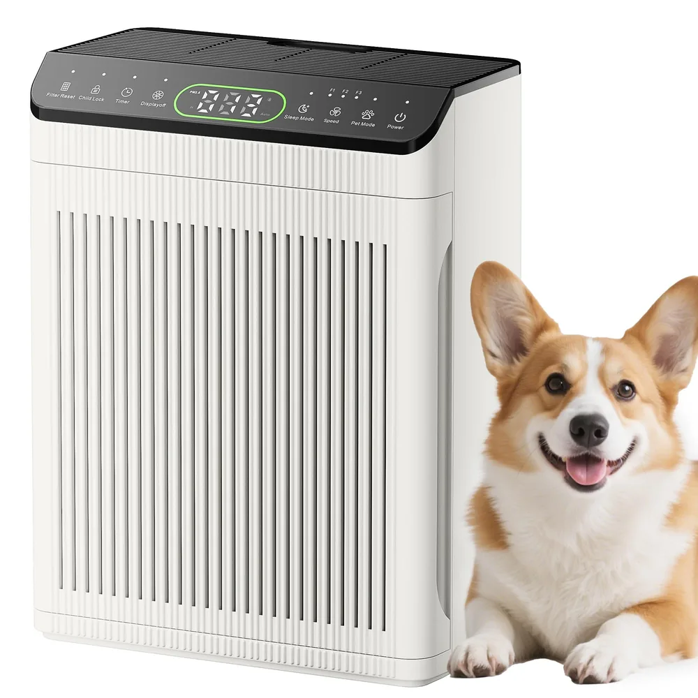 Ivory Evalit ET066 air purifier